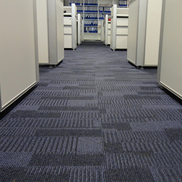Office with Carpet
